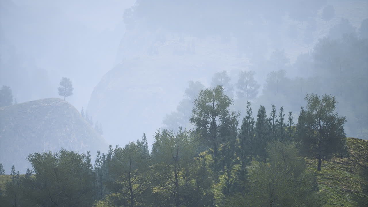 Misty hillside landscape with trees in a tranquil natural setting