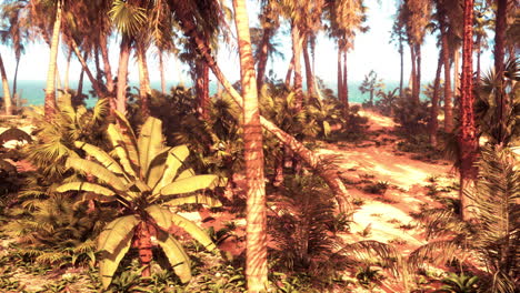 tropical beach with palm trees