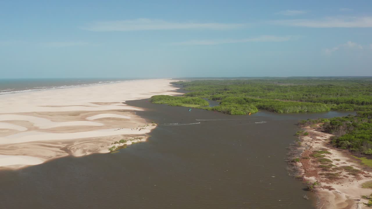 Beach, River, and Mangrove Landscape