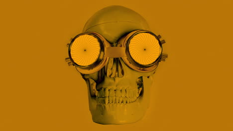 human skull with sunglasses