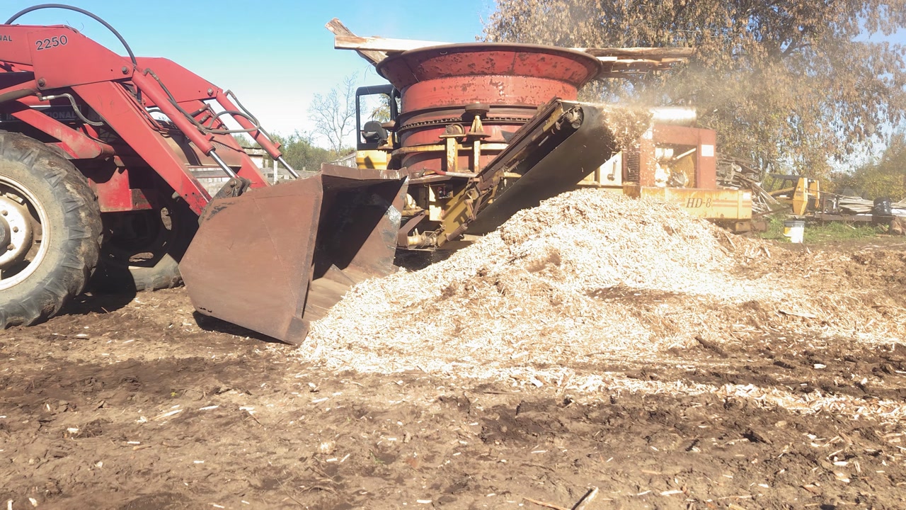 Medium wide shot of a red tractor pushing a wood pile away from a tub grinder