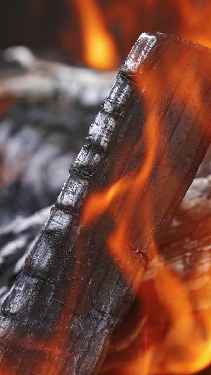 Campfire in nature close up. Atmospheric warm background with orange flame of campfire
