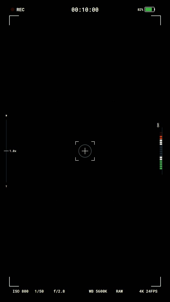 Digital Camera Viewfinder Overlay with Recording Interface
