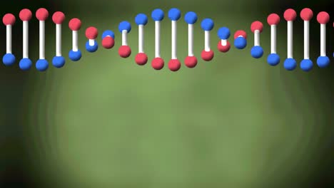 Animation-of-dna-strand-over-green-background