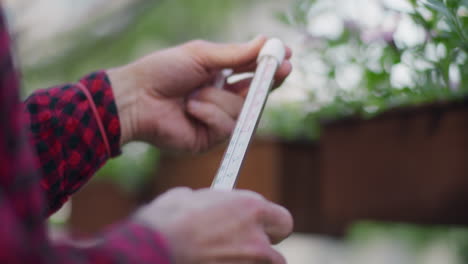 farmer checking greenhouse temperature for flower cultivation