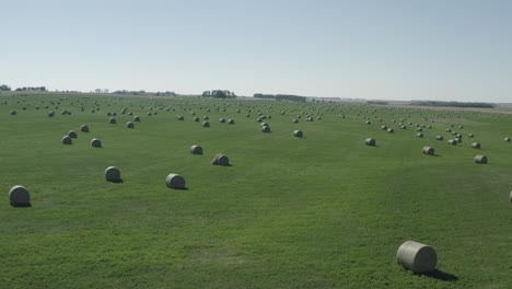 aerial close fly over circular hay bale rolls spread out almost symmetrical from each other on a lush green rolling farm field seperated by small patches of tree barrier hills in the summer 1-3