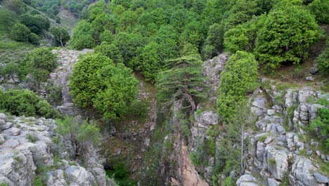 aerial footage showcasing the mountains and scenery