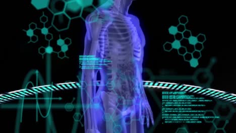 animación del procesamiento de datos científicos sobre el cuerpo humano