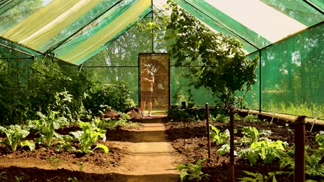 man leaving a greenhouse, agriculture homesteading