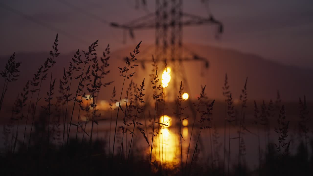 Tall grass in front of industry flare at dusk