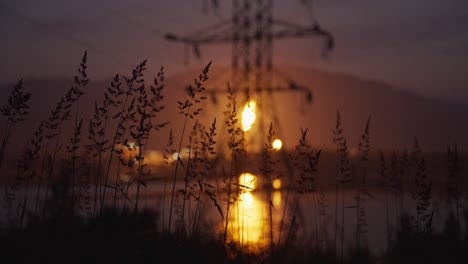 tall grass in front of industry flare at dusk