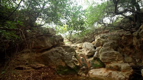 Un-Estanque-Natural-En-Un-Cañón-En-El-Norte-De-Israel.