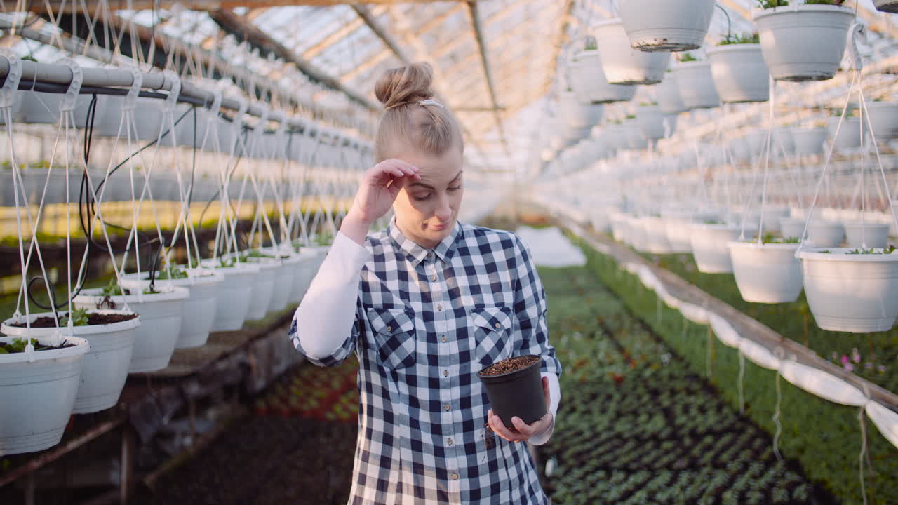 Gardener Looking at Seedlings in Greenhouse