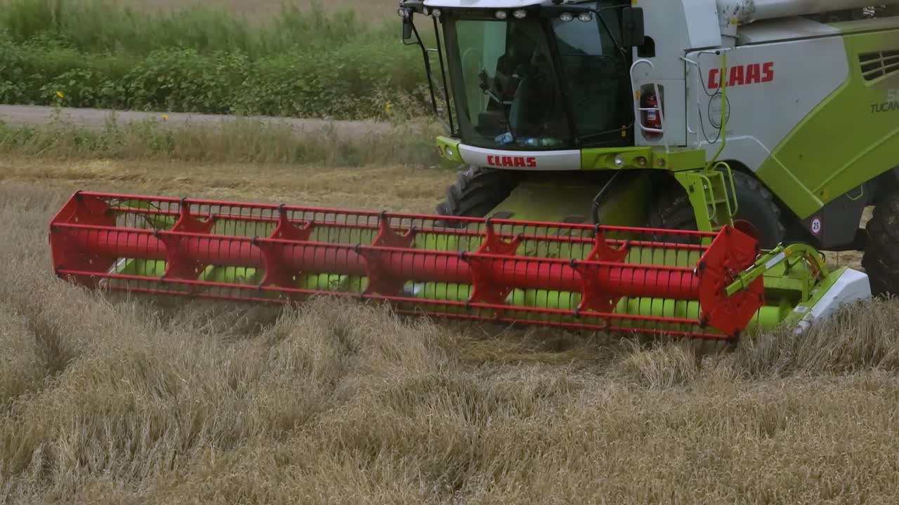 cosechadora combinada cosechando el campo de trigo