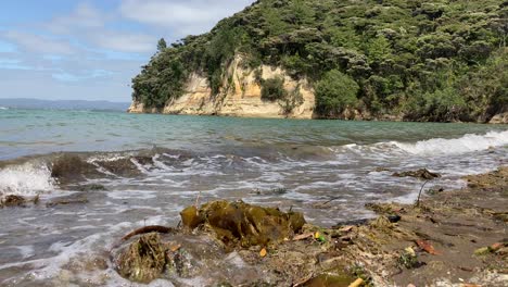 by the beach island continent green nature waves