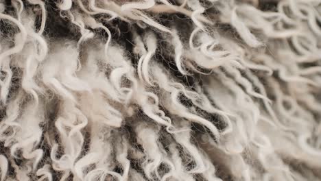 a closeup of soft, curly wool fibers in natural, neutral tones, showing intricate details and textures