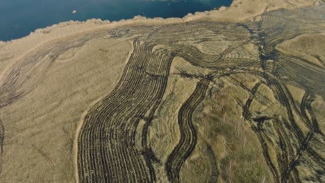 Luftaufnahme-Des-Mit-Trockenem-Schilf-Bewachsenen-Sees,-Naturpark-Lake-Pape,-Sonniger-Frühlingstag,-Spiegelungen-Auf-Der-Wasseroberfläche,-Weite-Vogelperspektive,-Drohnenaufnahme-In-Vorwärtsbewegung