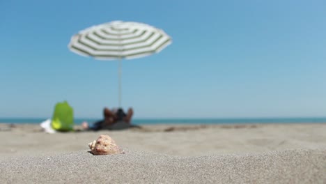 paraguas de sol en la playa 1