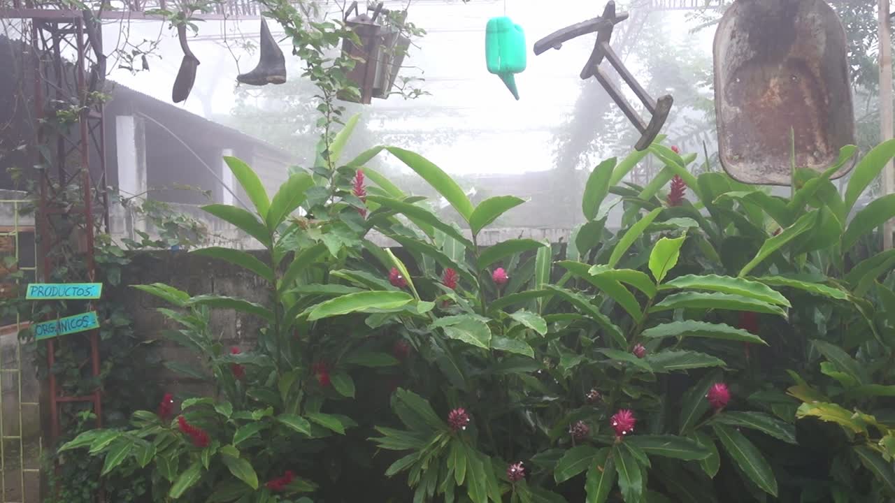 a creative garden in the fogy mountains of Minca in Colombia