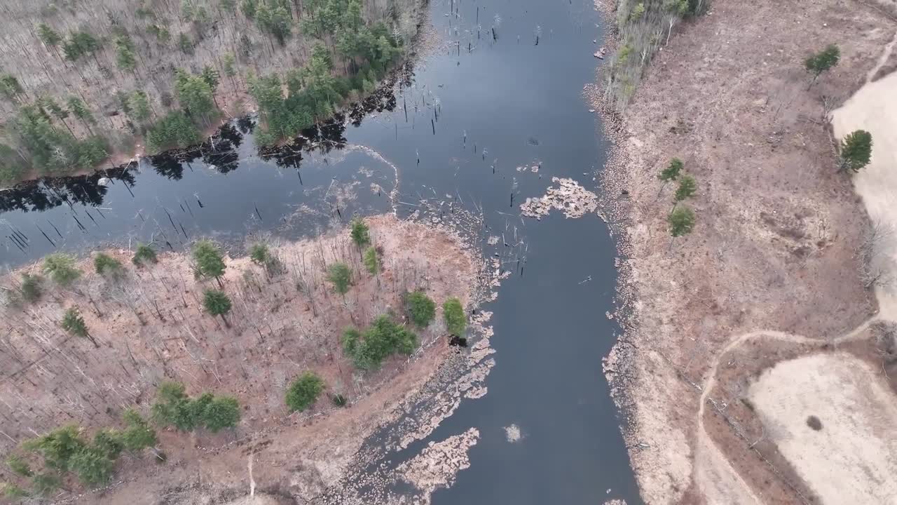 Aerial drone view showcasing the divide between a forest edge and cultivated land. A river winds through the landscape, with trees and dry terrain creating a natural contrast