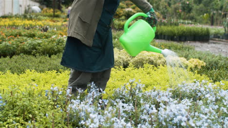 jardinera que trabaja en el interior