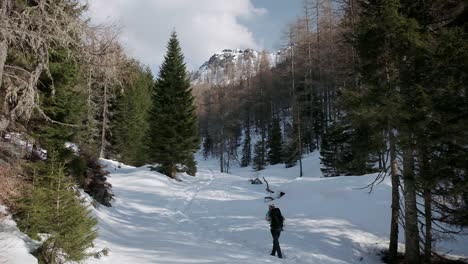 Wandern-Auf-Einem-Tief-Verschneiten-Wanderweg-1