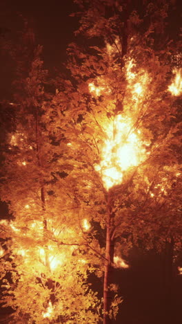 burning tree in a forest at night