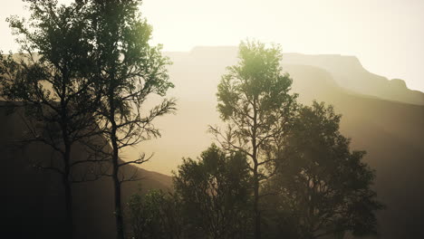 beautiful-rocks-with-few-trees-at-the-daylight-in-Nepal