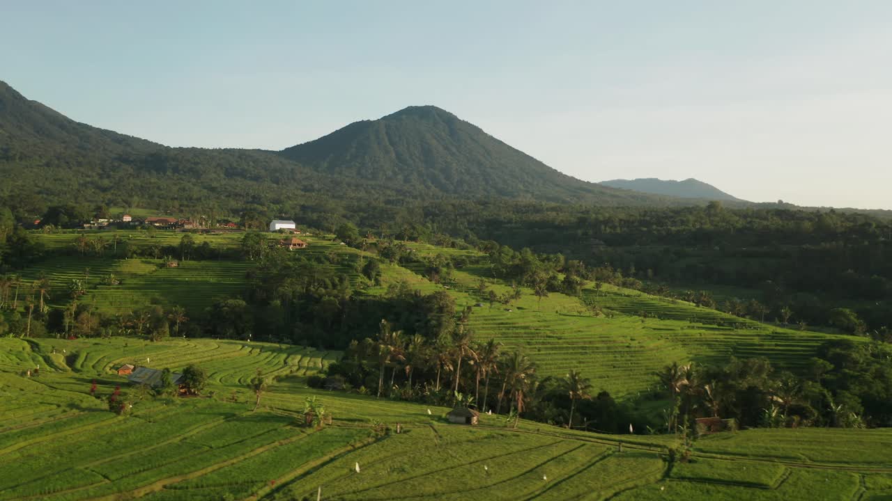 paisaje de campo de arroz tropical de bali durante la luz del sol de la mañana, jatiluwih, antena