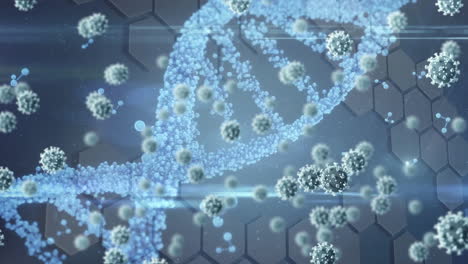 animation of covid cells floating with white dna strain spinning