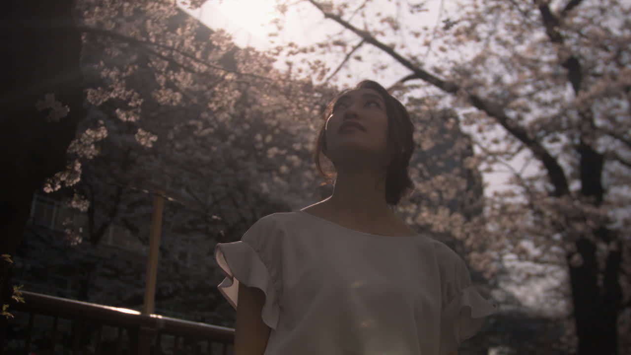 Beautiful woman looking at cherry blossom trees (50p)