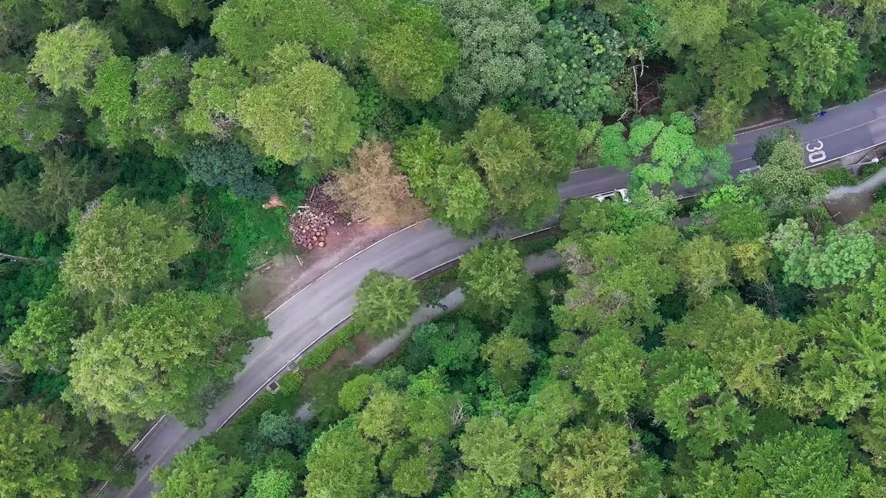 울창 한 초록색 숲 에 둘러싸인 휘어지는 도로 를 따라 운전 하는 색 자동차 의 공중 풍경