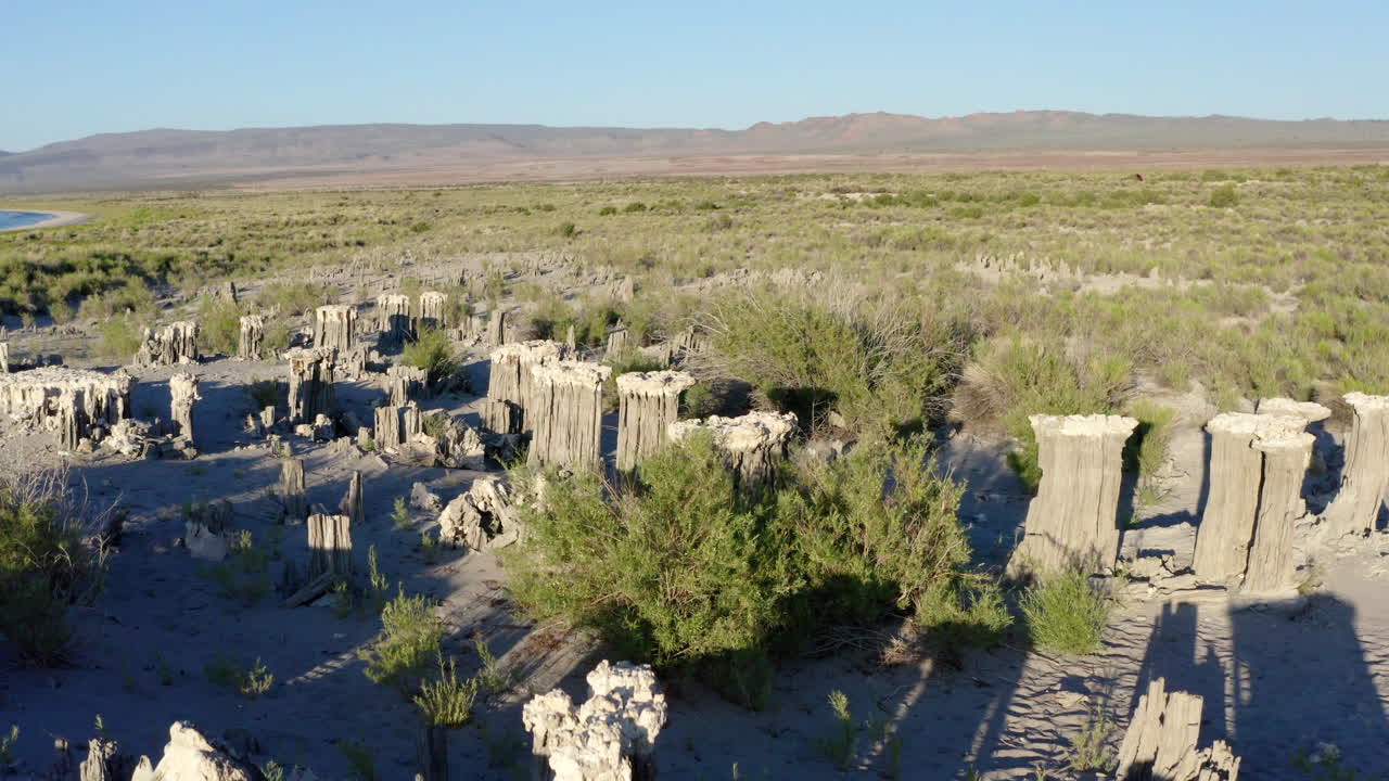 모노 호수 (mono lake) 의 독특한 투프 암석 형성의 공중 풍경, 은 파란 하늘 아래의 한 기둥과 주변 사막 식물성을 강조합니다.