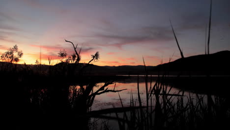 Escena-De-La-Naturaleza-En-Sudáfrica-Al-Atardecer