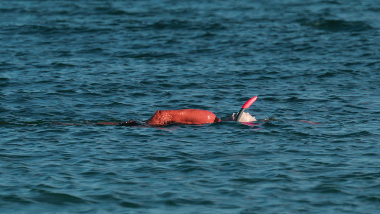 An elderly man swims with a snorkel and mask in the clear blue sea, exploring underwater life near the surface
