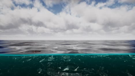 split view over and under water in the caribbean sea with clouds