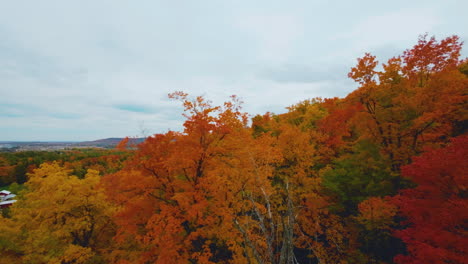 Fpv-drohnenansicht,-Die-Durch-Einen-Bunten-Herbstwald-Fliegt