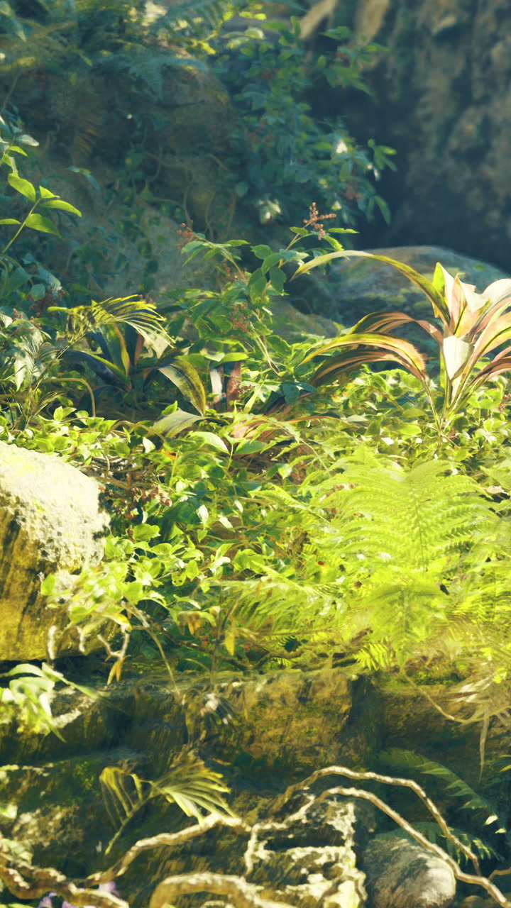 Lush green foliage thrives in the serene depths of a tropical forest