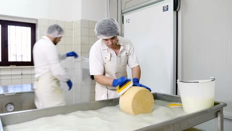 fábrica de queso de diario - operador lavando la forma del queso