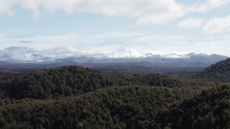 volando sobre el bosque nativo con el monte ngauruhoe cubierto de nieve en la distancia, mt doom