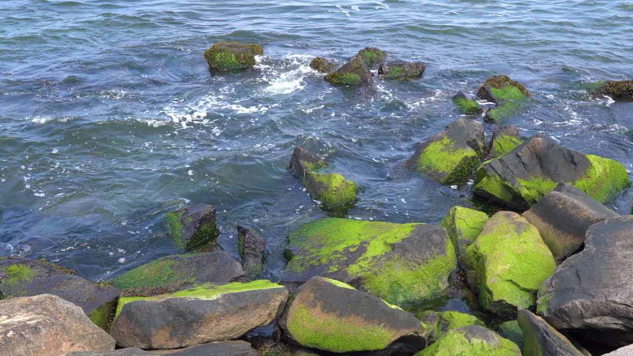 Onde oceaniche che si infrangono sulle rocce coperte di alghe sulla riva