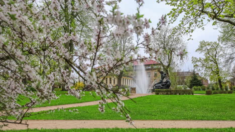 Fuente-En-El-Parque-Con-Un-Edificio-Antiguo-En-El-Fondo,-Vista-Desde-Detrás-De-Un-árbol-En-Flor