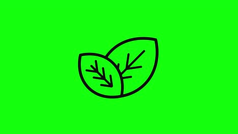 transparent black eco leaf leaves vegan nature icon flat green screen 10 animations chroma key