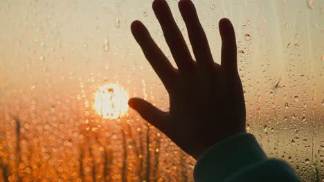 a child's hand reaches out towards the setting sun through a rain-streaked window