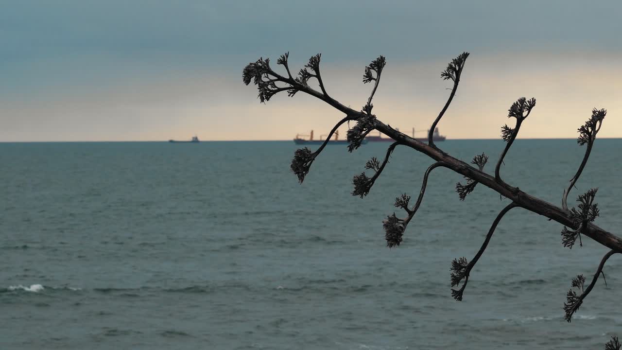carcavelos 해변, 포르투갈, 놀라운 색조의 아름다운 대서양 파도