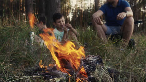 family camping in the forest