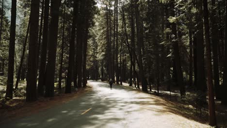 Forest-view-of-a-girl-walking-down-the-middle-of-the-road