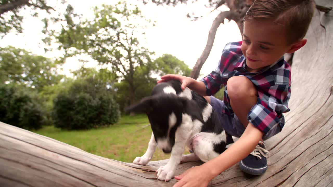 작은 소년이 공원에서 강아지 개를 포옹하고 만지고 있다