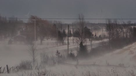 tormenta de nieve en un frío día de invierno