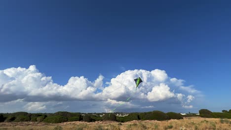 green kite with long tail flying twirling in